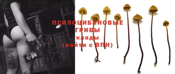 круглые Алексеевка